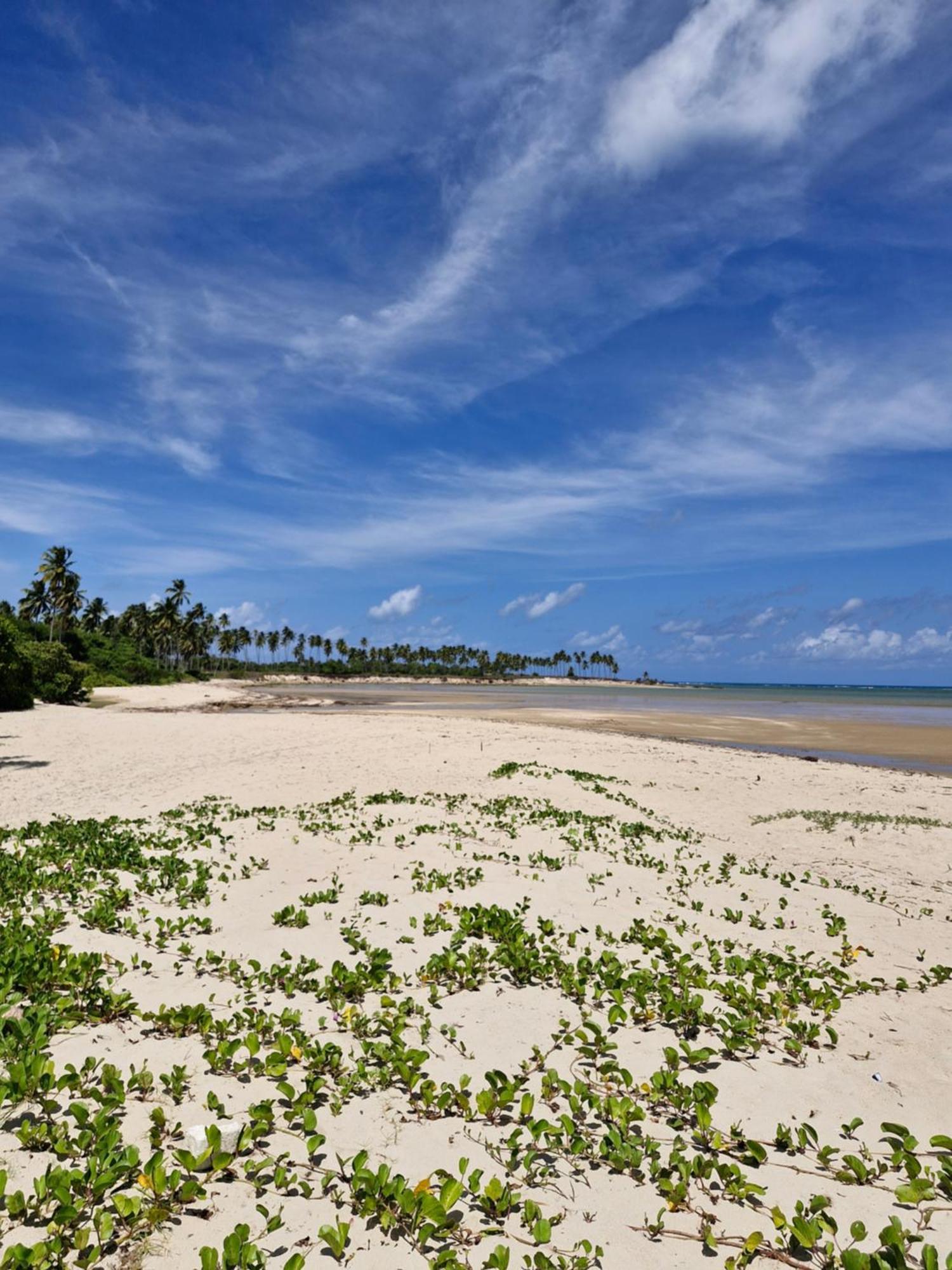 Msflats Paripueira Praia Wifi Ar Cozinha E Varanda Nascente C Rede Luaran gambar