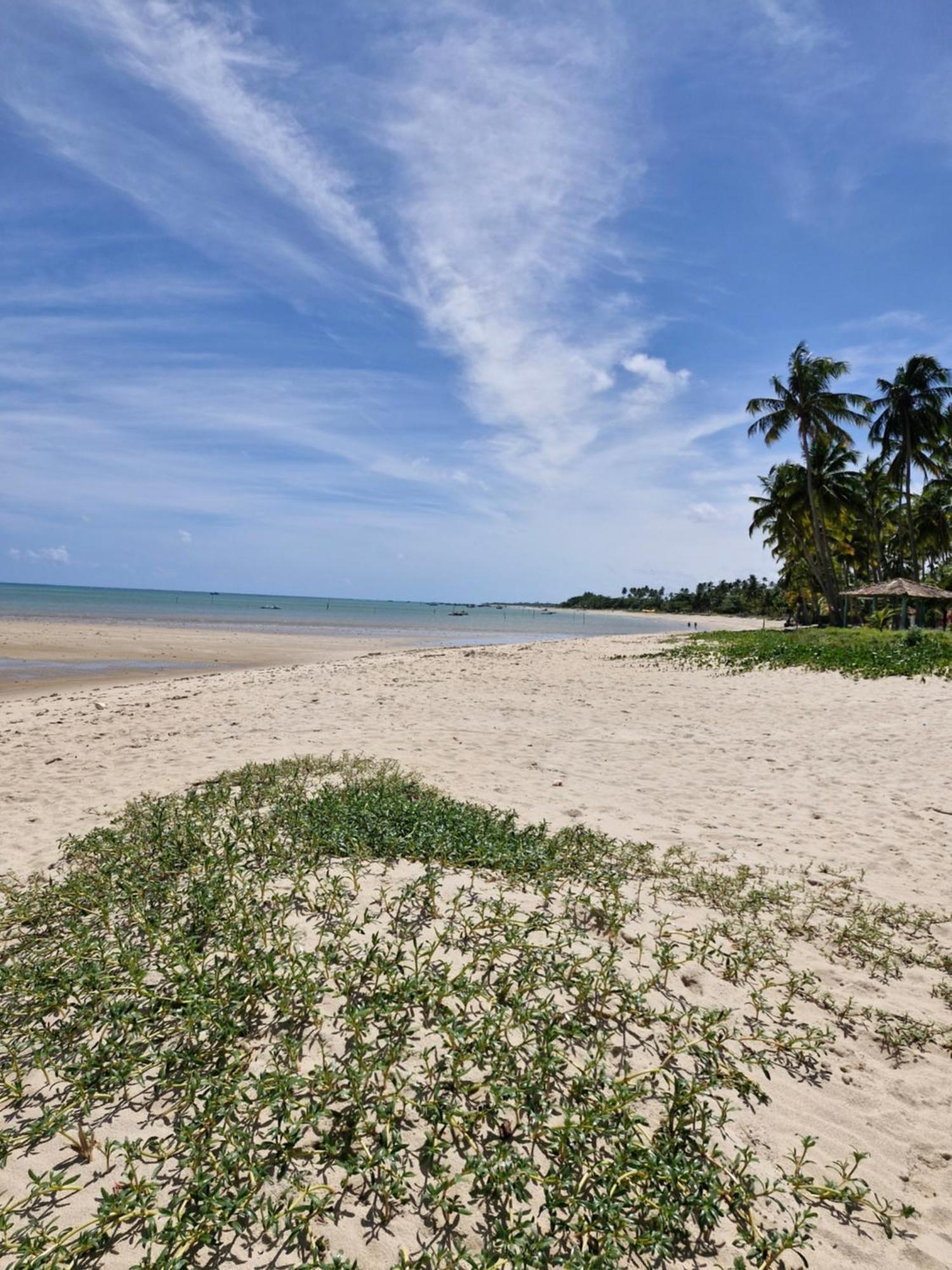 Msflats Paripueira Praia Wifi Ar Cozinha E Varanda Nascente C Rede Luaran gambar